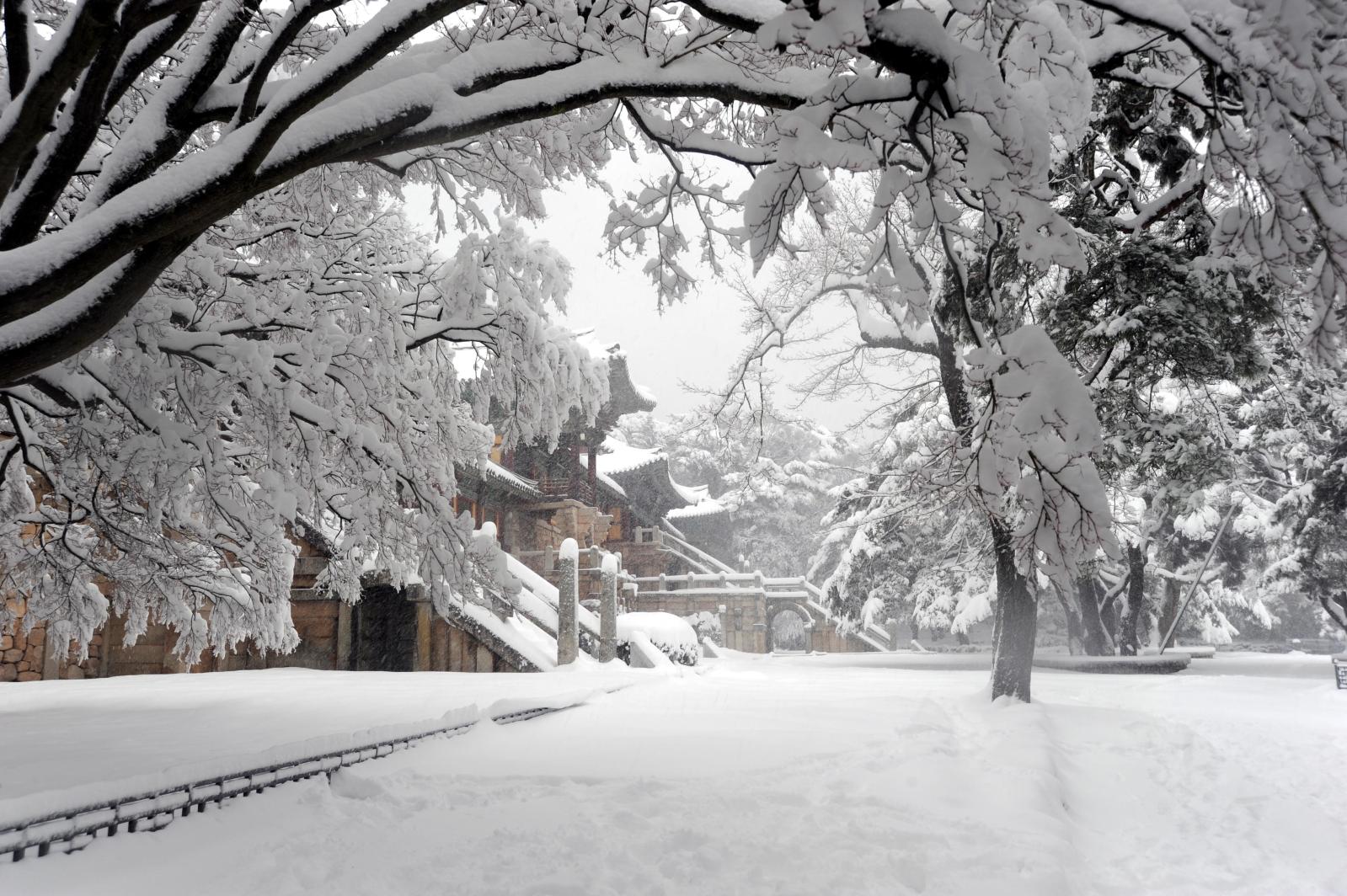 겨울의 불국사 소경_김건이(입선)